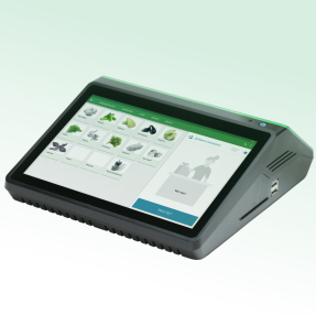 вики мини 10